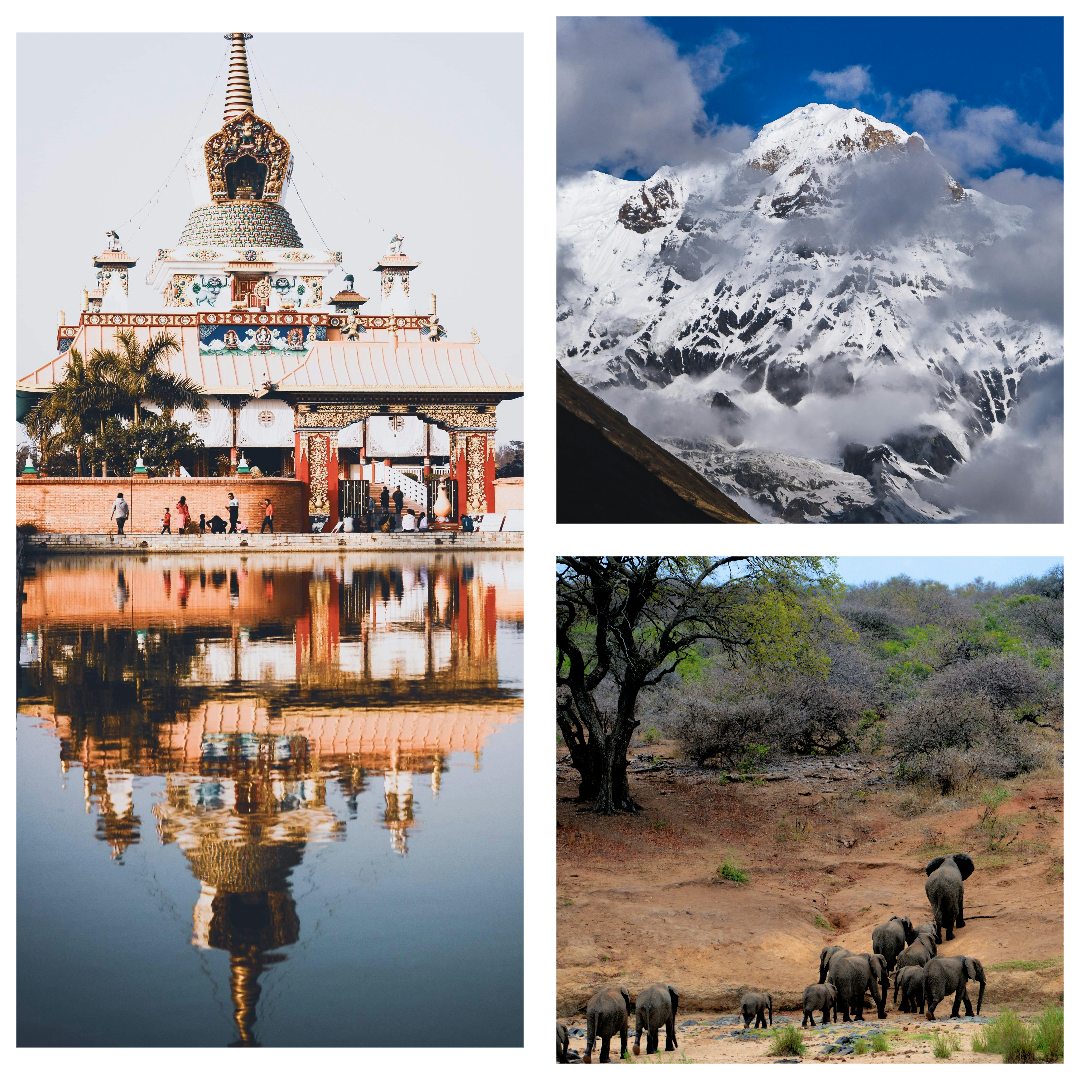 Annapurna (Ghodepani Trek, Lumbini & Chitwan National Park Tour)