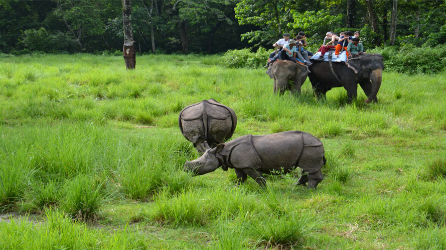 Bardiya Jungle Safari