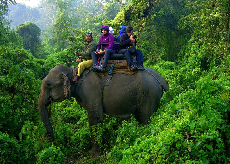 Chitwan Jungle Safari