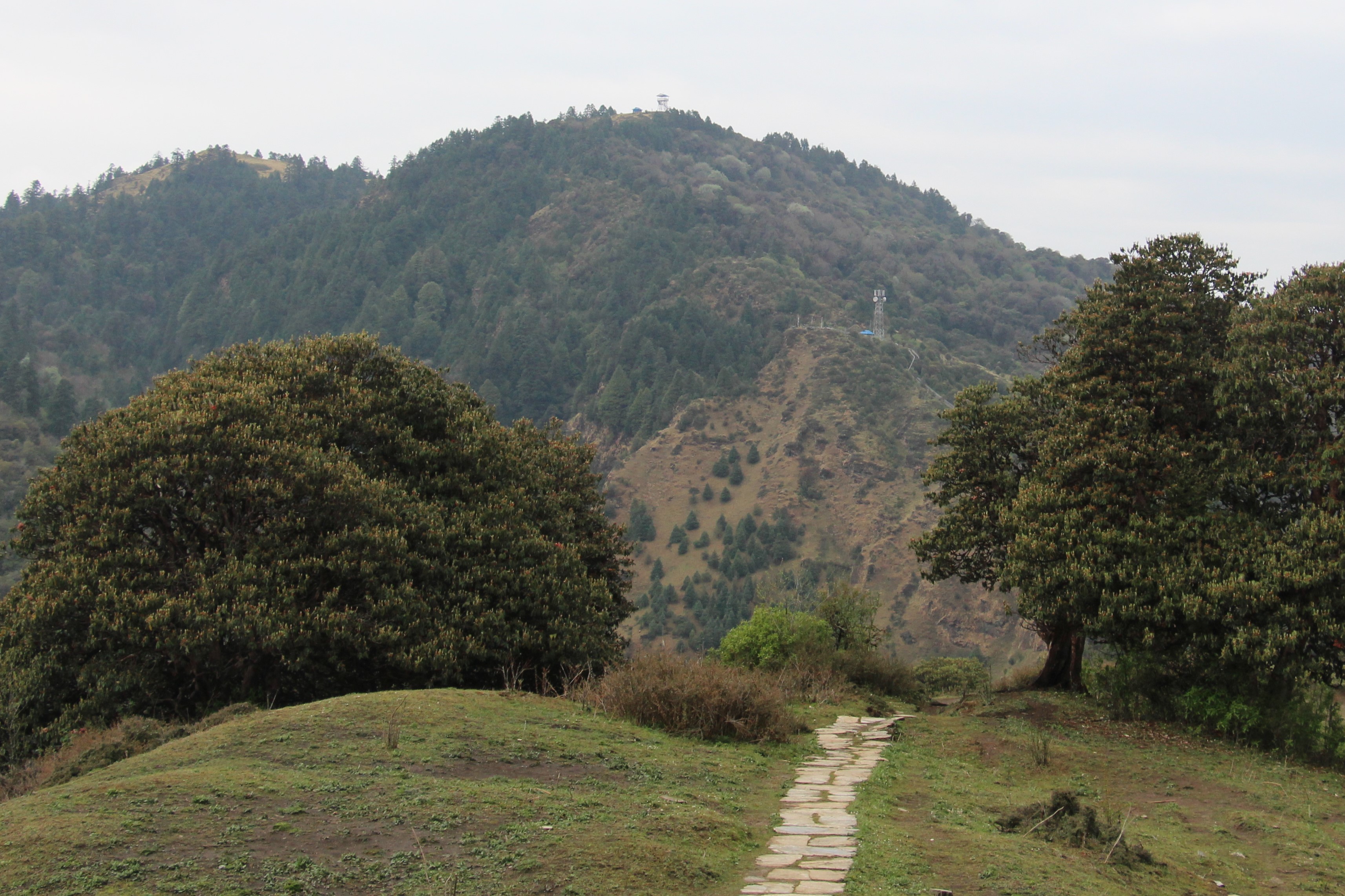 Ghorepani Poon Hill Trek (Annapurna Region – 6 Days)