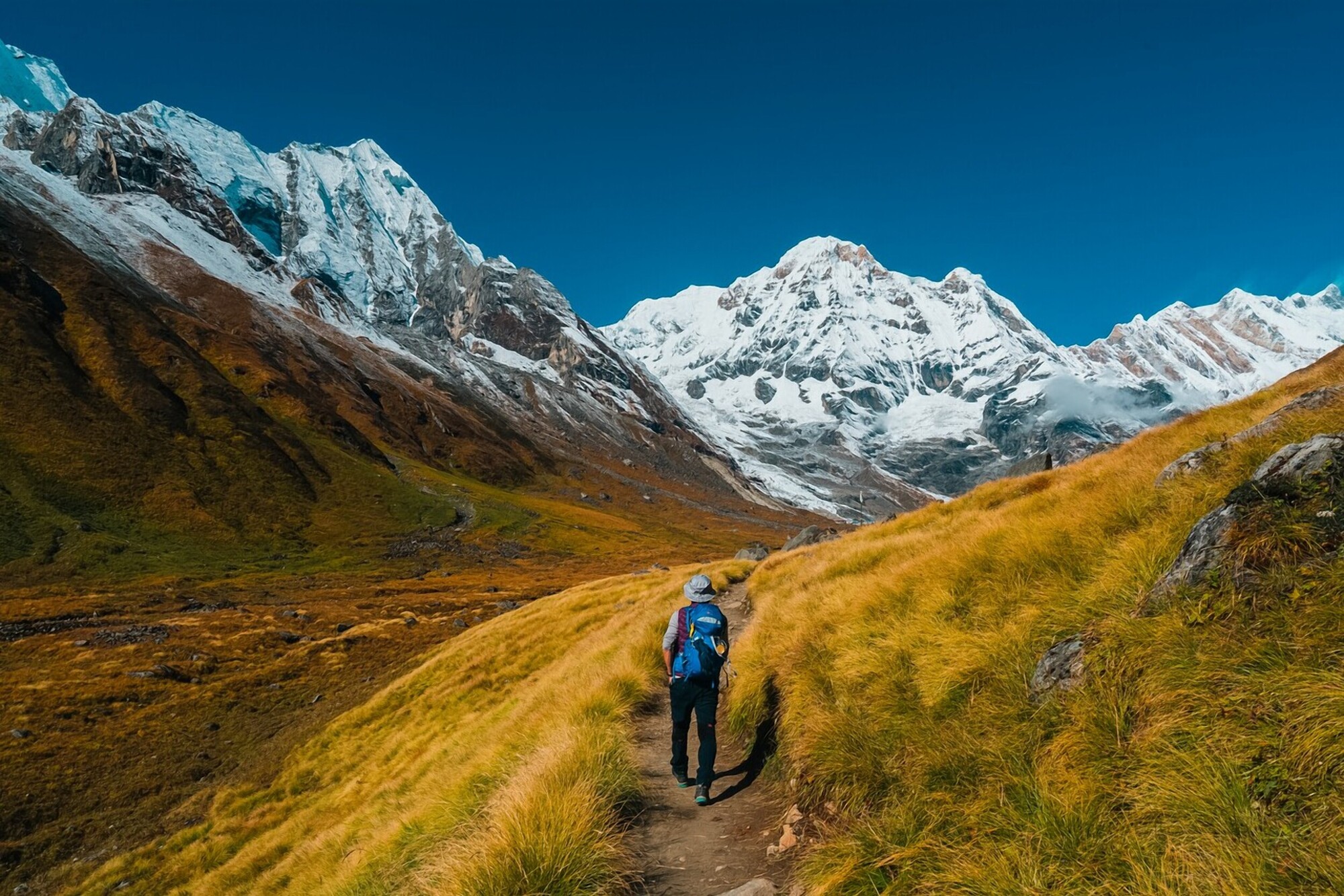 Langtang Mountain Camp