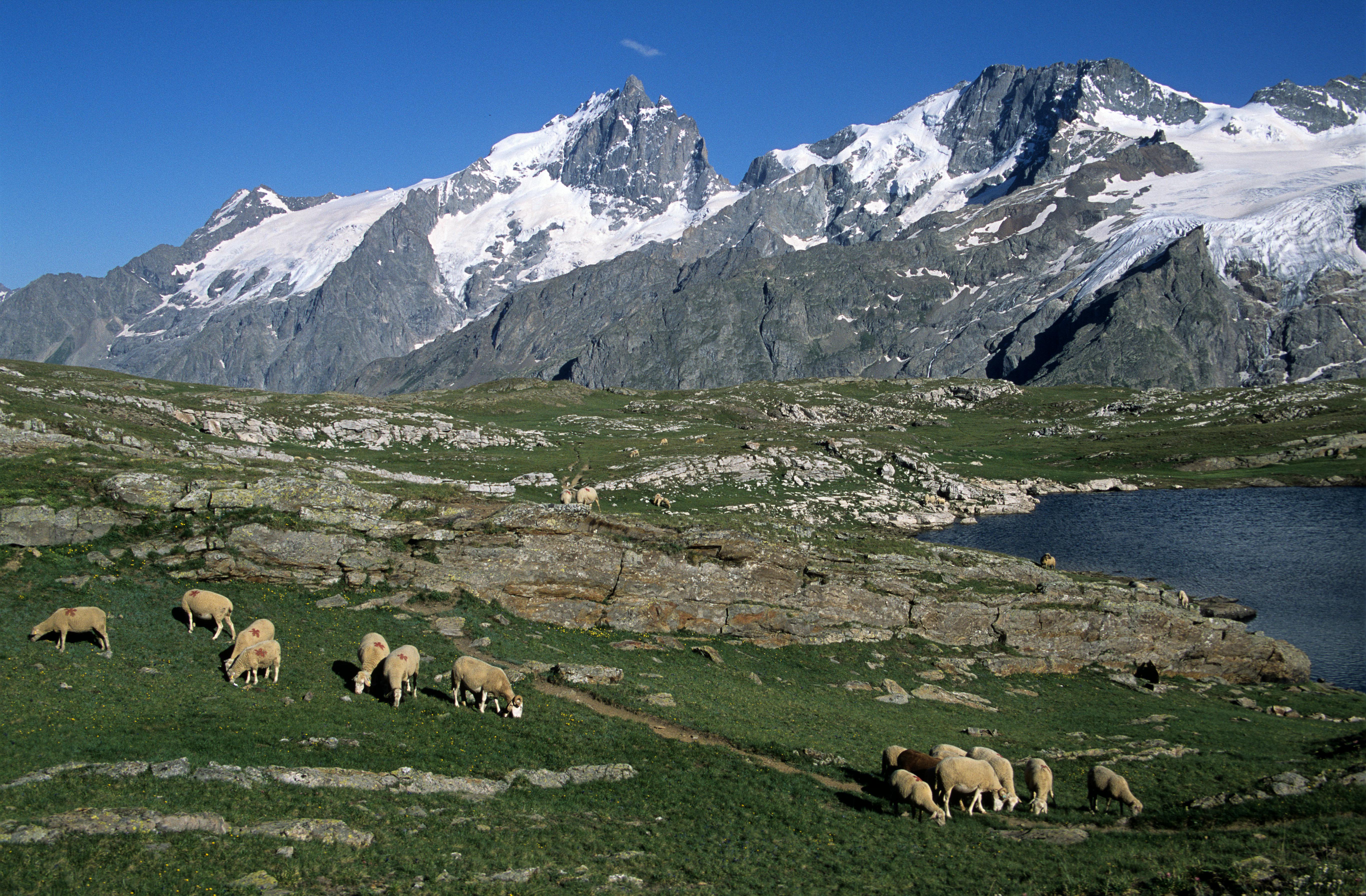 Nar-Phu Valley & Annapurna Traverse via Tilicho Lake & Thorong La Pass