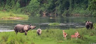 Royal Chitwan National Park