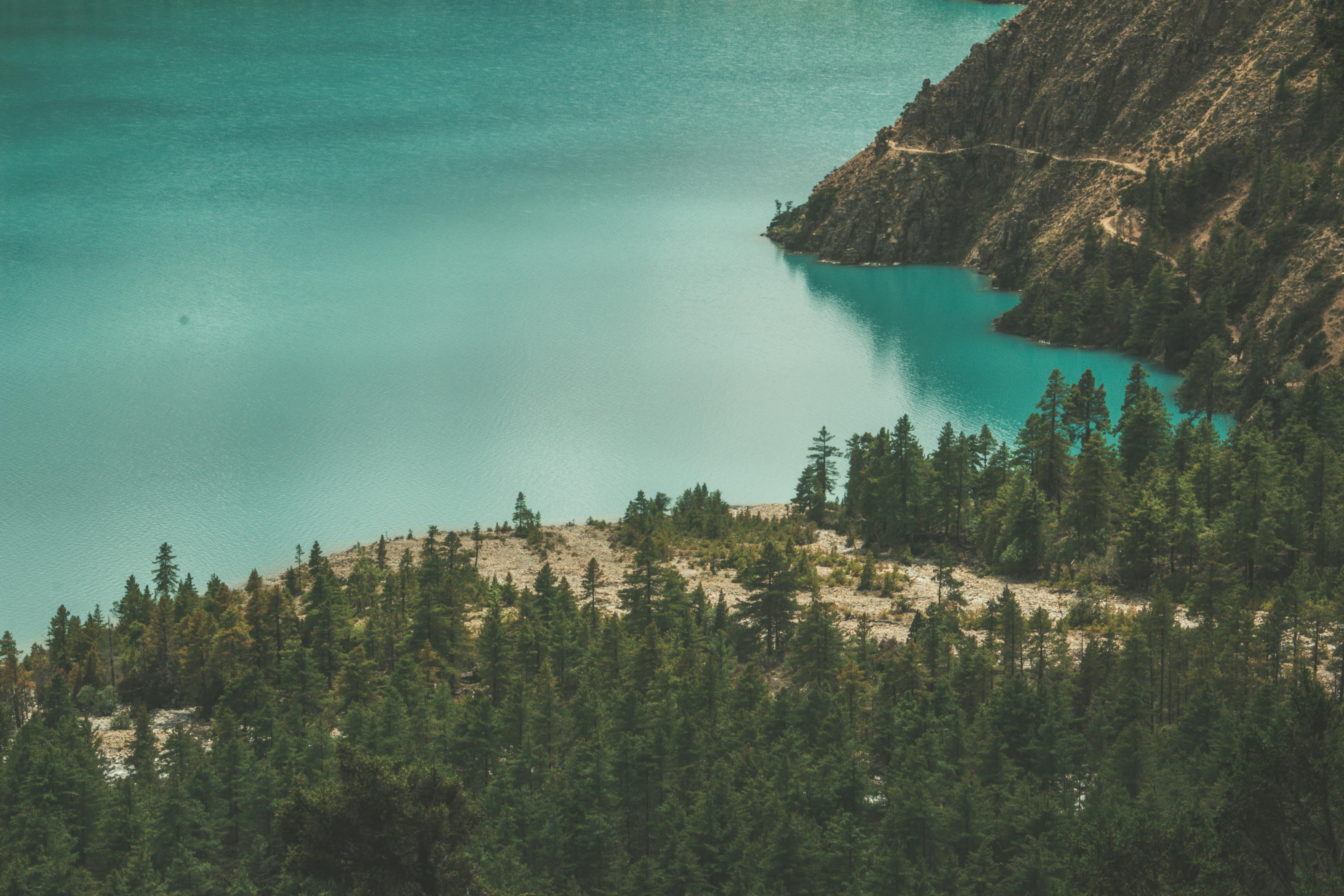 Upper Dolpa trek (23 Days)